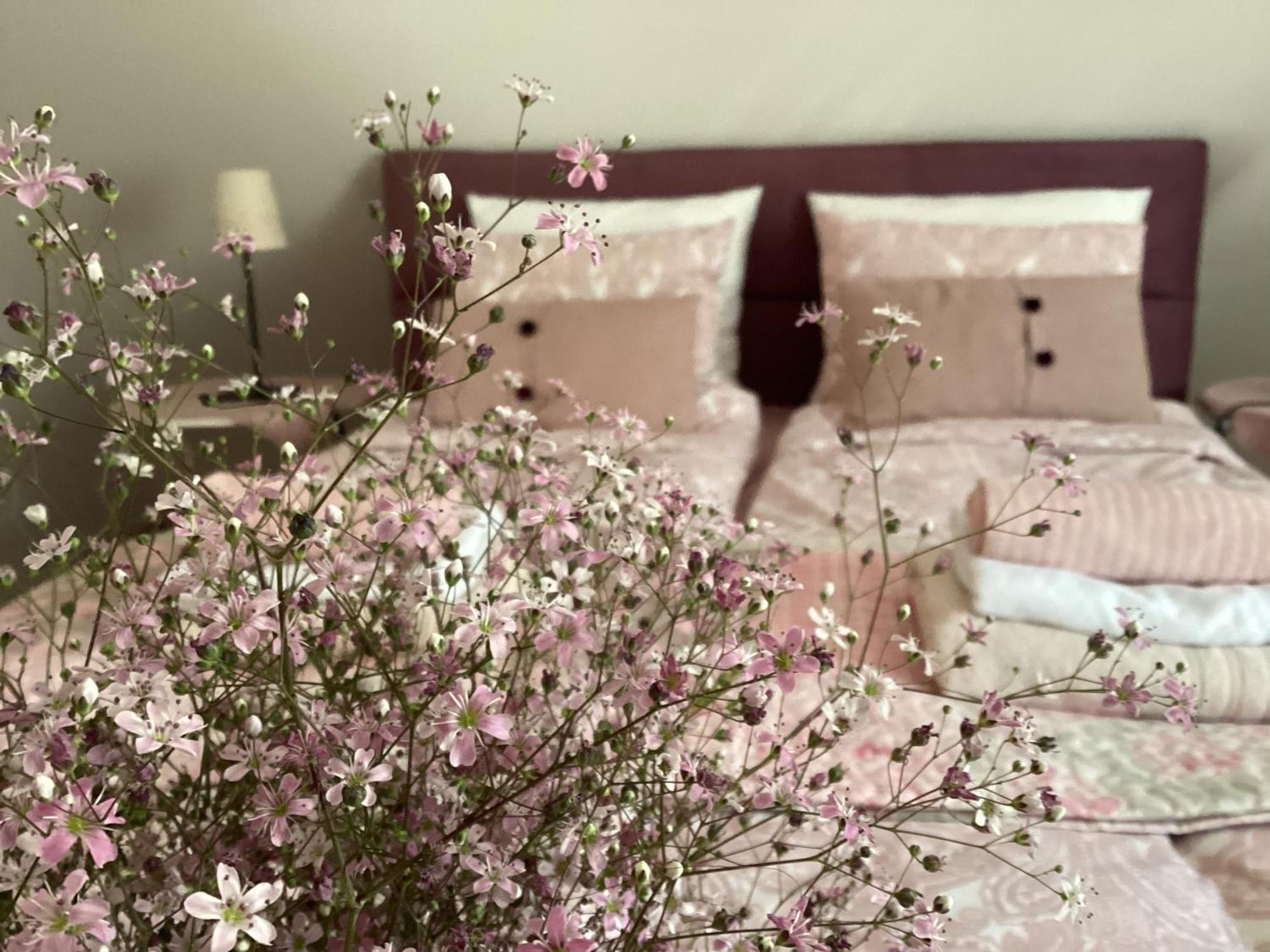 Apartments For Rent Near Budapest Etyek Zewnętrze zdjęcie